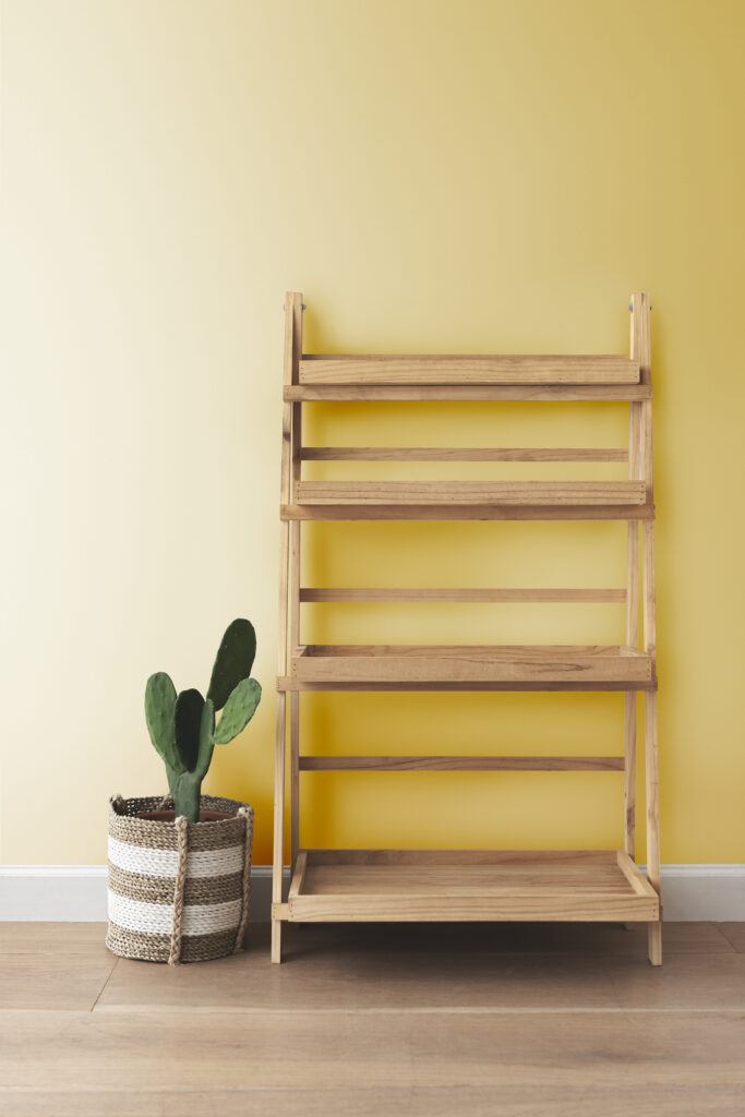 Shelf Rack
